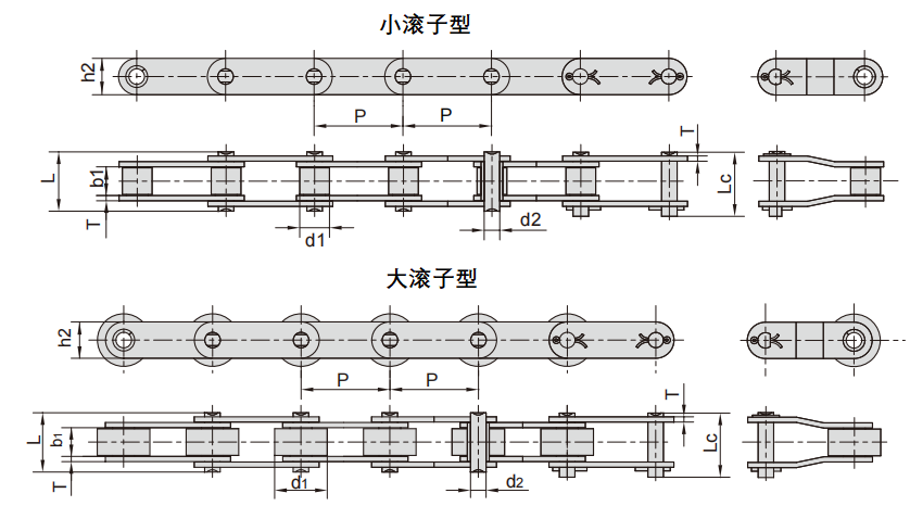 雙倍節(jié)距-大小滾子.png