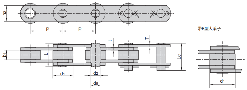 Z系列R滾子.png