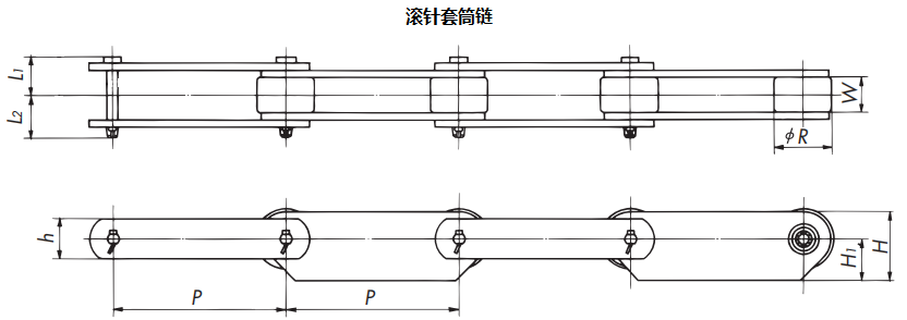 滾針套筒鏈條-本體尺寸.png