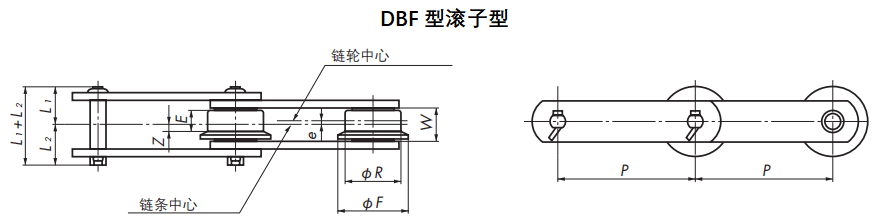 DBF滾子型.png